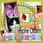 Frohe Ostern - TV Tipps - Die Woche